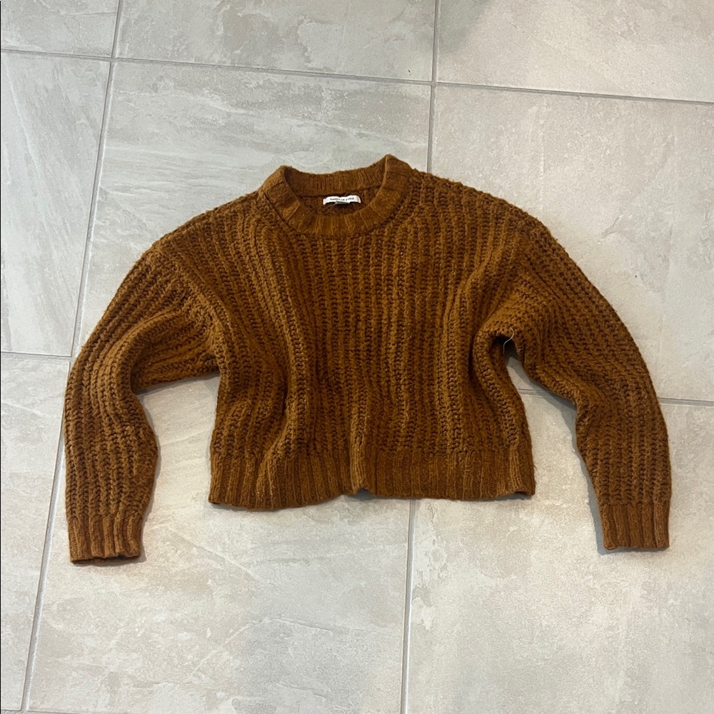 American Eagle Outfitters Rich Brown Crew Neck Sweater